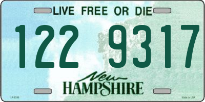 NH license plate 1229317