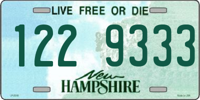 NH license plate 1229333