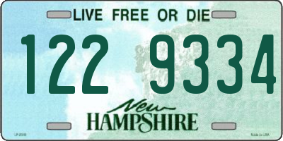 NH license plate 1229334