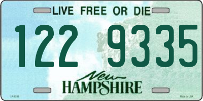 NH license plate 1229335