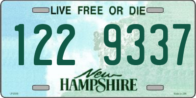 NH license plate 1229337