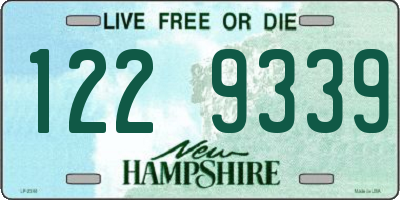 NH license plate 1229339