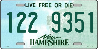 NH license plate 1229351