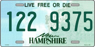 NH license plate 1229375