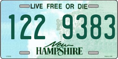 NH license plate 1229383