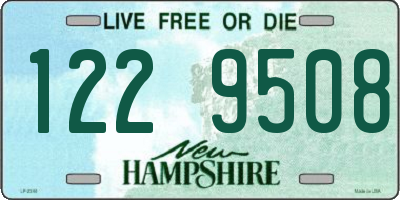 NH license plate 1229508