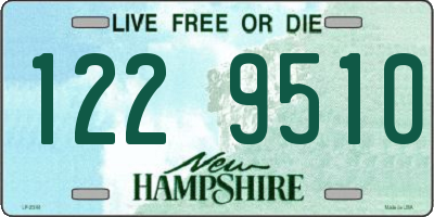 NH license plate 1229510