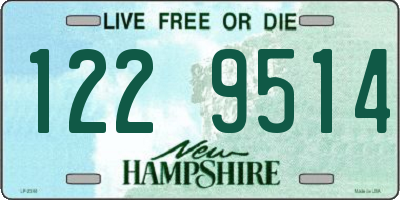 NH license plate 1229514