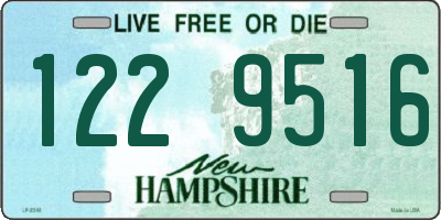 NH license plate 1229516