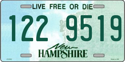 NH license plate 1229519