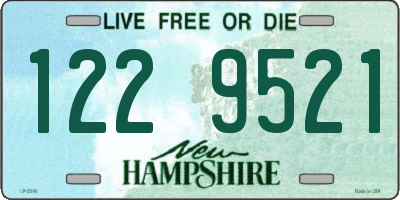 NH license plate 1229521