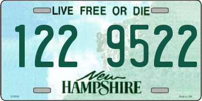 NH license plate 1229522