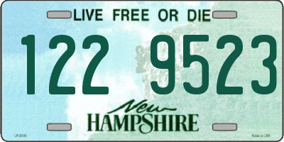 NH license plate 1229523