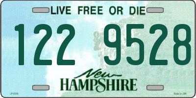 NH license plate 1229528