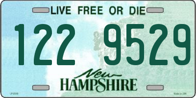 NH license plate 1229529