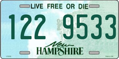 NH license plate 1229533