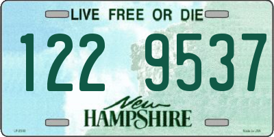 NH license plate 1229537