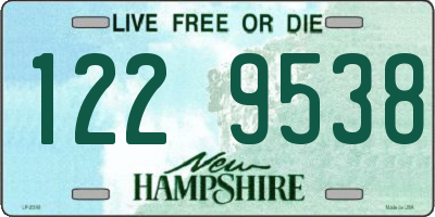 NH license plate 1229538