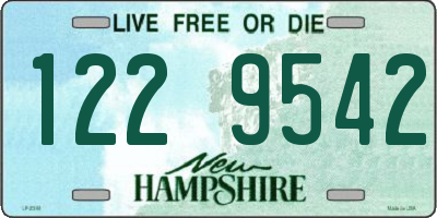 NH license plate 1229542