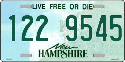 NH license plate 1229545