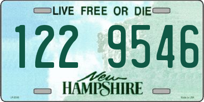 NH license plate 1229546
