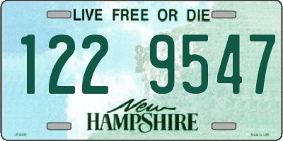 NH license plate 1229547