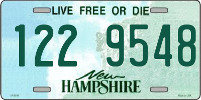 NH license plate 1229548