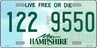 NH license plate 1229550