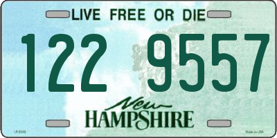 NH license plate 1229557