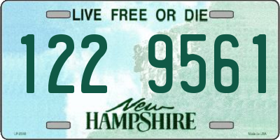 NH license plate 1229561