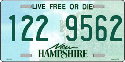 NH license plate 1229562