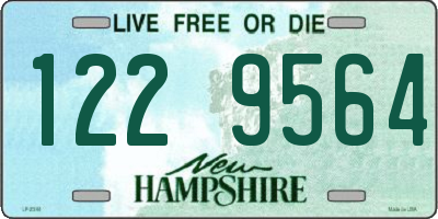 NH license plate 1229564