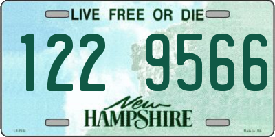 NH license plate 1229566