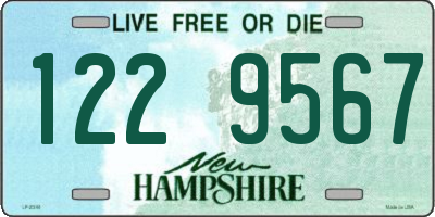 NH license plate 1229567