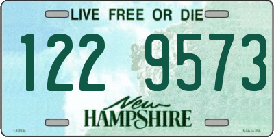NH license plate 1229573