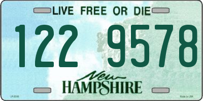 NH license plate 1229578