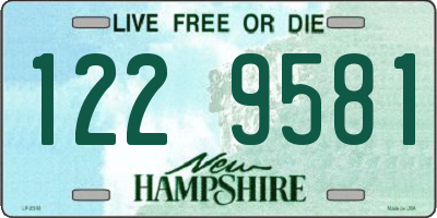 NH license plate 1229581
