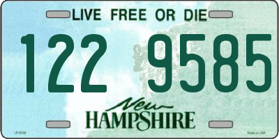 NH license plate 1229585