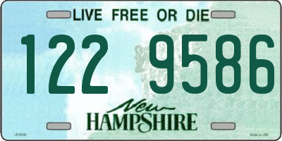 NH license plate 1229586