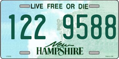NH license plate 1229588