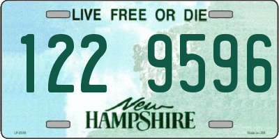 NH license plate 1229596