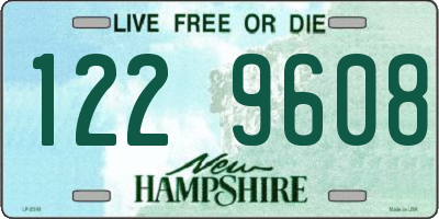 NH license plate 1229608