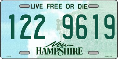 NH license plate 1229619