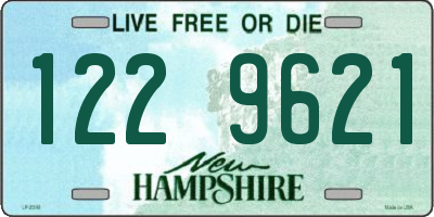 NH license plate 1229621