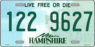 NH license plate 1229627
