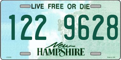 NH license plate 1229628