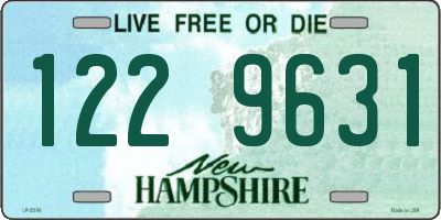 NH license plate 1229631