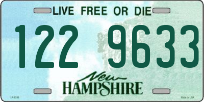 NH license plate 1229633
