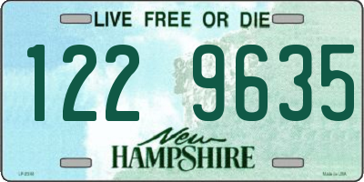 NH license plate 1229635