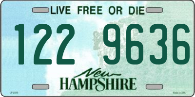 NH license plate 1229636